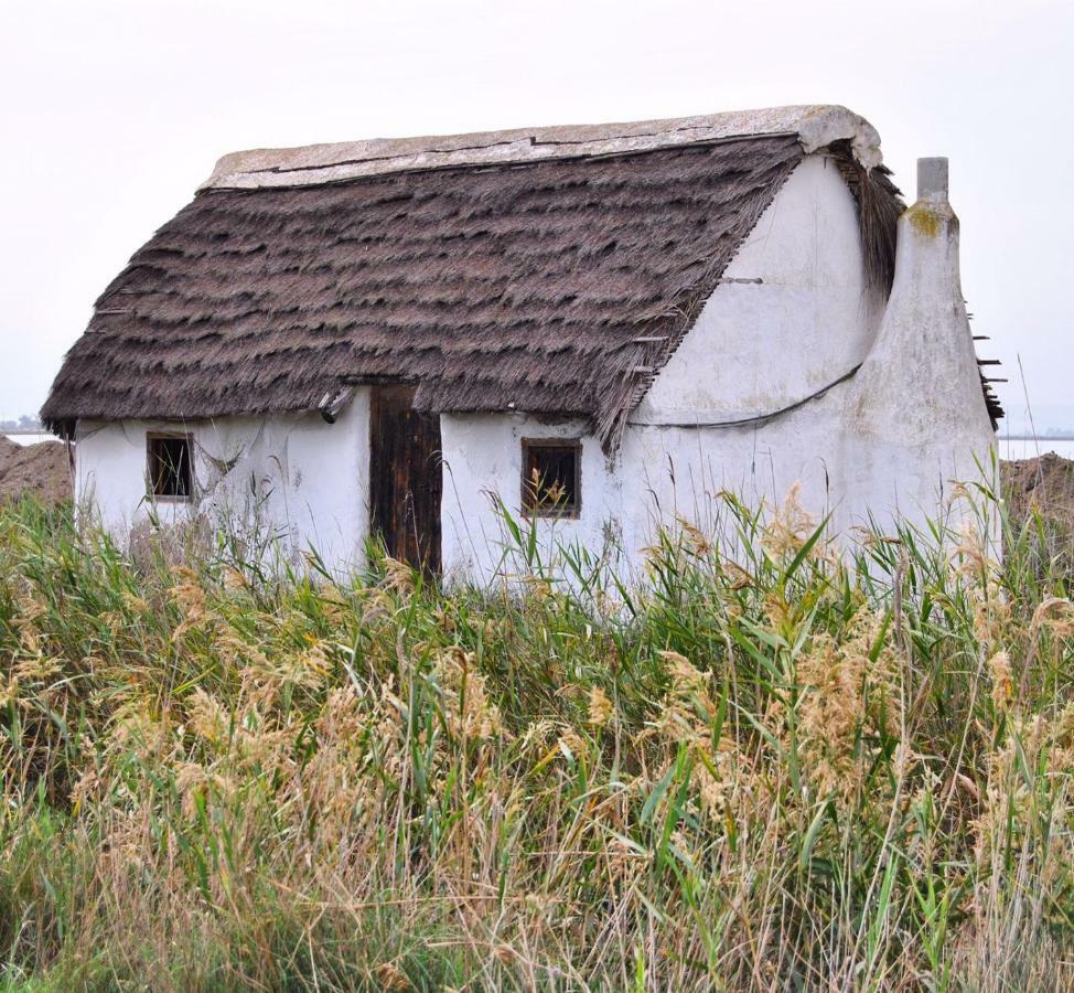 L' Espiga - Casa Rural Deltebre Esterno foto